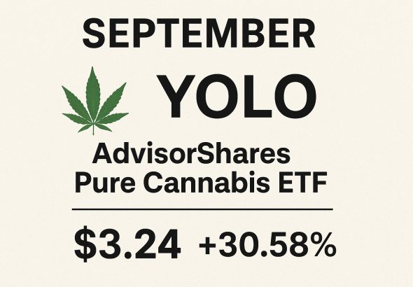 yolo