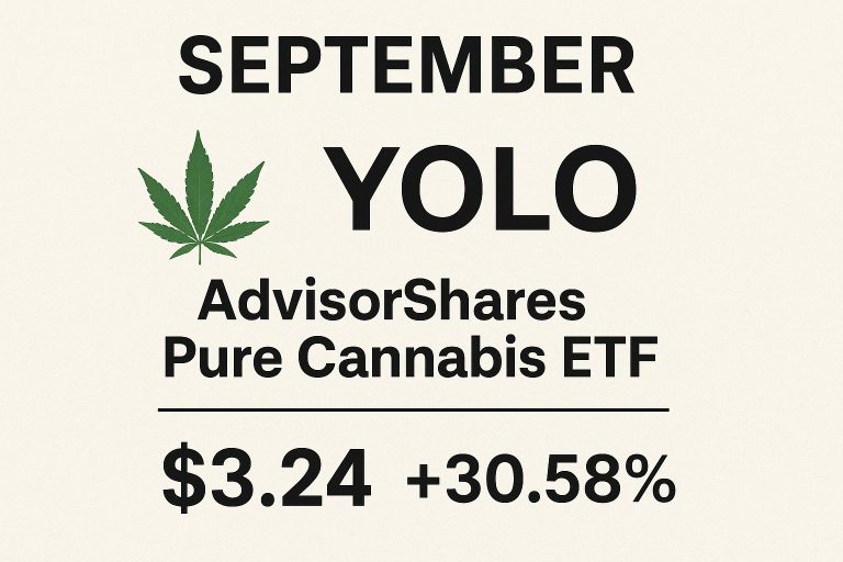 yolo
